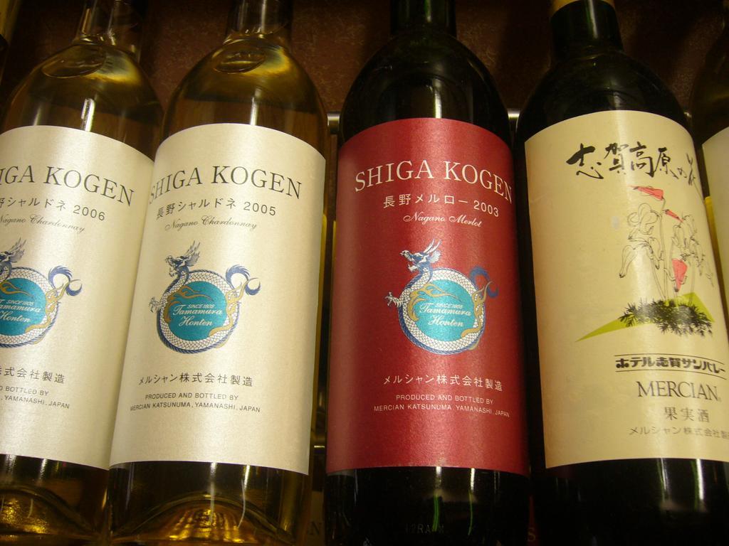 Shiga Kogen Hotel Shiga Sunvalley Yamanouchi  Luaran gambar