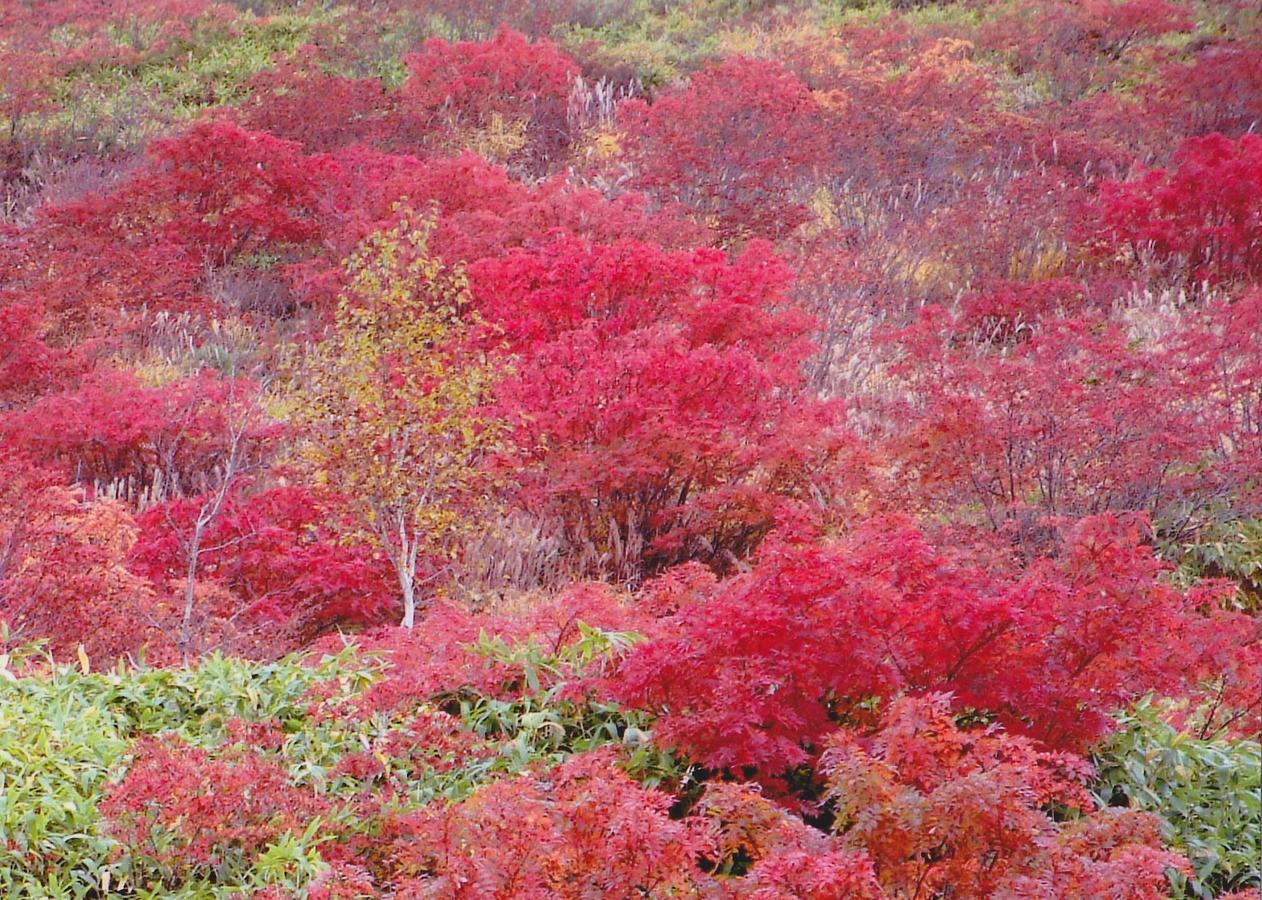 Shiga Kogen Hotel Shiga Sunvalley Yamanouchi  Luaran gambar